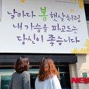 날마다 봄 이미지