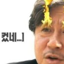 홍정 Daum카페