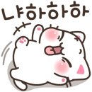 흑돈백돈