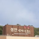 군산현대주유소 | 정안알밤휴게소 맛집 하행 주유소 간식 먹거리 후기