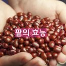 팥 - 원주시 | 팥