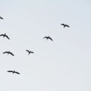 군장 수산물센타 이미지