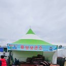황토거인 이미지