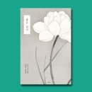 봄서점 이미지