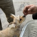 순덕 게러지 이미지