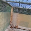 아부지농장 이미지