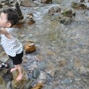 약수2농장 이미지