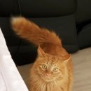 포항시남구10 이미지