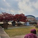 화동초등학교 이미지