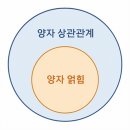 **Re: '양자 얽힘'과 '양자 상관관계' 비교 이미지