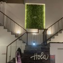 올라 코스타(hola costa) 이미지
