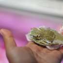 신도시축산유통 이미지