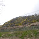 중랑천 산책로 이미지