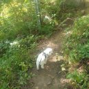 유가사등산로 이미지