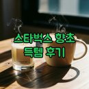 디자인수향 | 스타벅스 향초 수향 캔들 이벤트 후기