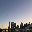 코알라 | [호주/시드니] 시드니 포트스테판 투어 후기 | 코알라 투어