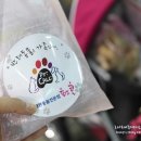 펫콜 이미지