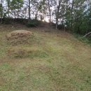 인동낚시터 이미지