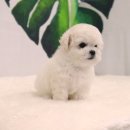 요미 티스토리