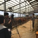 조은한우농장 이미지