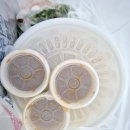 양지교통(주) 이미지