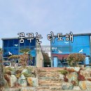 꿈꾸는 다도해 | 거제도 오션뷰 풀빌라 펜션 꿈꾸는다도해