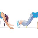 애니멀짐PT 이미지