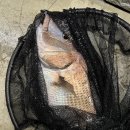 원실내바다낚시터 이미지