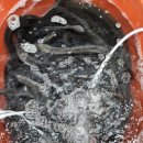 민물건강원 이미지