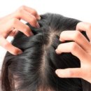 동그라미센터 이미지