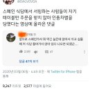 영상식당 이미지