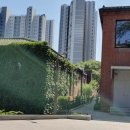 녹지약국 이미지