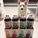 아이사랑(공동구매) | [공지] [공동구매] 페노비스 인캡슐 시리즈를 초특가로?! 기관지·관절·장·눈물 영양제 (4/20(월)~4...