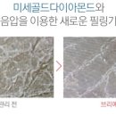 브리예 이미지