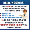 고려식물약국