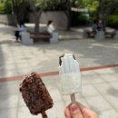 일맥홉친스 | 일상 이모저모