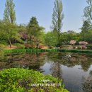 태화강국가정원 이미지