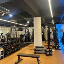 옐로우피티 이미지