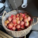 세종김밥천국 이미지