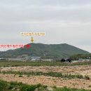 봉수네