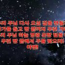 [2025 대림절 살아나는아침 살리는하루]99번째 아침 묵상 - 신학한여자의 '대림절 말씀 묵상 시리즈' / 소향의 '마라나타' 이미지