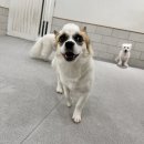 바우스쿨 이미지