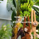익산 바나나카페 카페덕기 강아지 애견동반 가능 메뉴 주차장 후기
