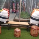 마포-상암-마포-6274 이미지