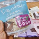 굿데이동물병원 이미지