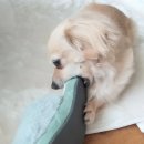 아소프로아 이미지