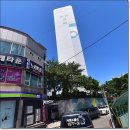 제일성광유치원 이미지