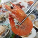 방어 원동 이미지