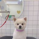 위드스테이부산 이미지