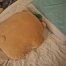 자두야놀자 | 공자맹자놀자 일상